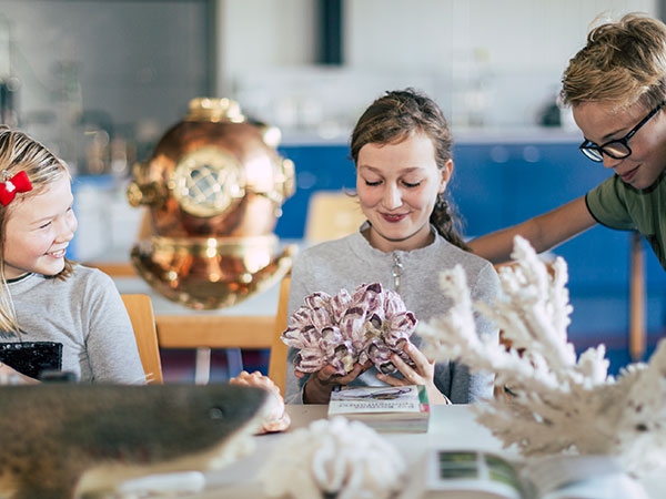 Davinci Schüler (c) B. Bergmann